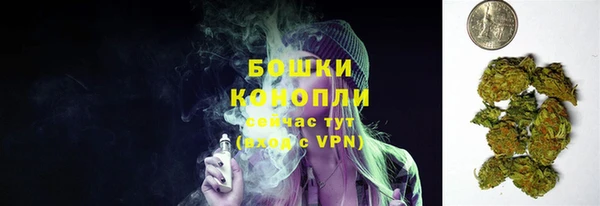 твердый Абаза
