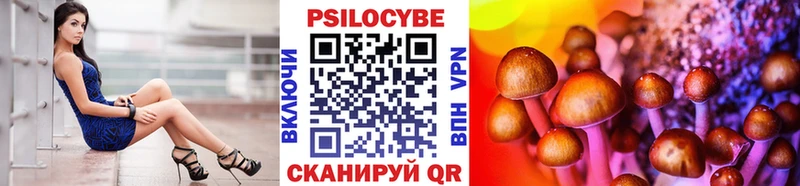 Галлюциногенные грибы Psilocybe  Изобильный 